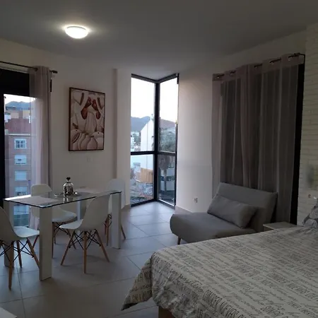 Spacious Studio In Center With Free Parking Apartment *